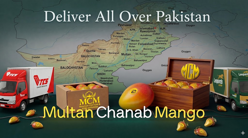 Mango delivery all over Pakistan — TCS Leopard