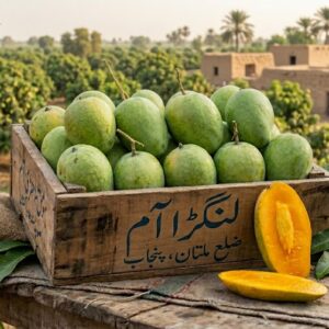 Langra Mango Multan | لنگڑا آم | Unique Green Skin Tangy-Sweet | Carbide Free | Buy Online