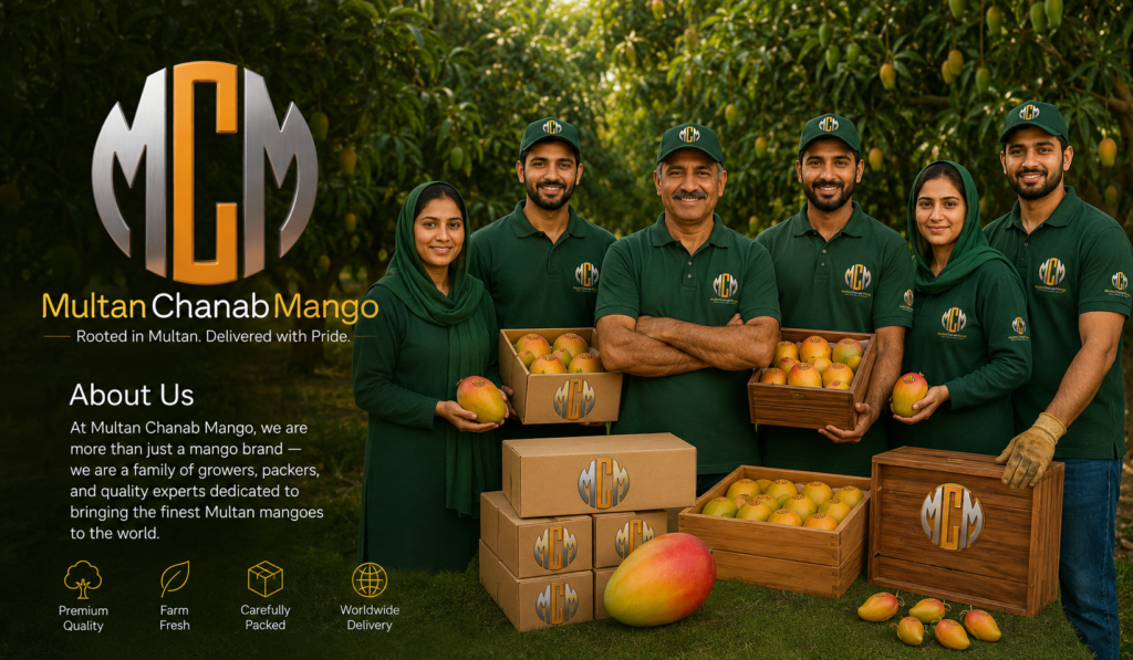 Multan Chanab Mango team standing in mango orchard with freshly packed mango boxes